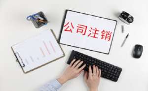 公司標準注銷的流程會是怎樣的