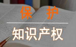 安徽蕪湖繁昌區(qū)版權登記需要多少費用