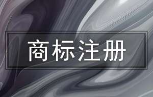 在蕪湖市辦理商標(biāo)注冊申請,費(fèi)用是多少？