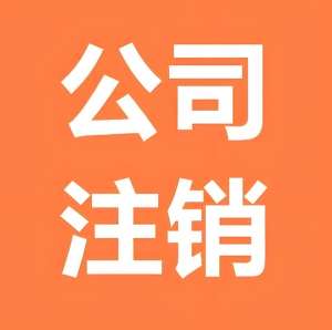 蕪湖注銷公司需要準備哪些材料？
